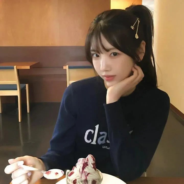 飞蛾日记
