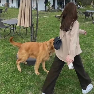 火线追凶之绝命狙击